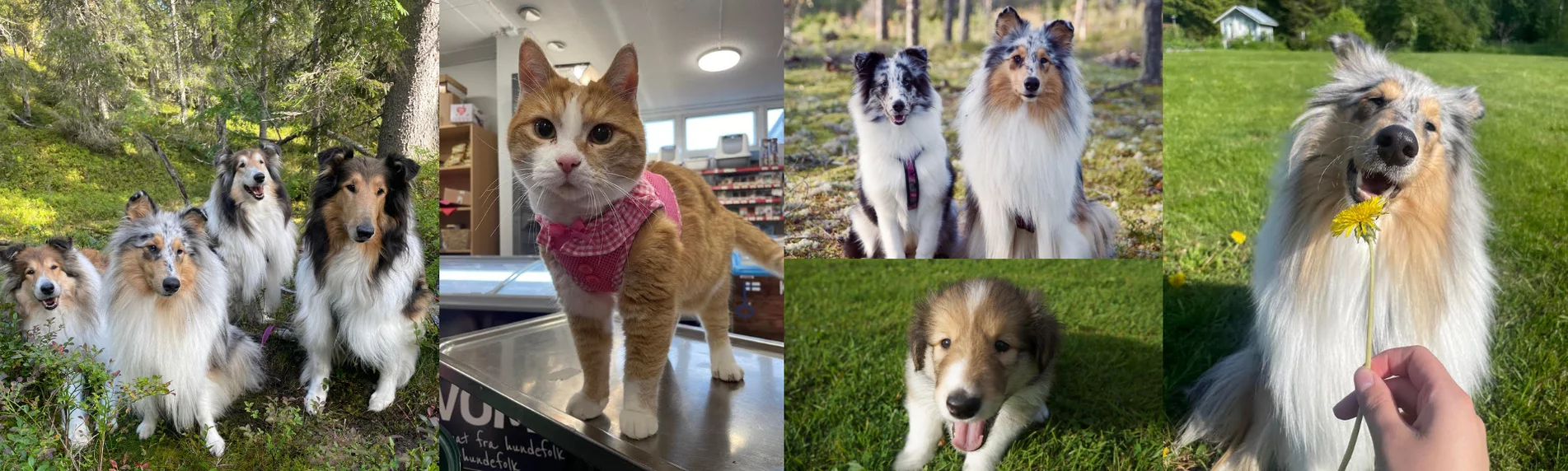 Kaikki kevääseen 13