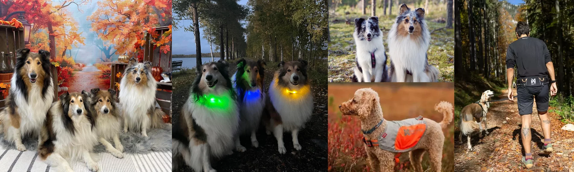 Kaikki syksyyn ja harrastuksiin 13