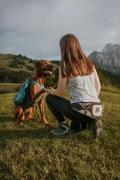 Non-stop Eksplor Belt Pro - Vetovyöt omistajalle - 405440 - 2