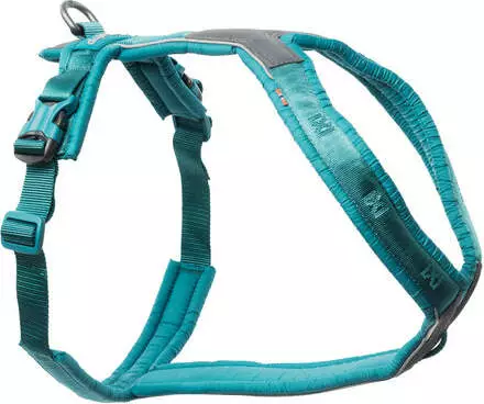 Non-stop Line valjas 5.0, teal - Koiran valjaat - 43040 - 1