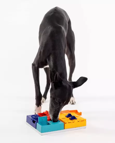 Pawzler Genius set - Koiran aktivointilelut, pelit ja kupit - 41790 - 2