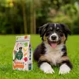 Garden Bites Puppy soft veggie sticks M - Koiran hampaidenhoito - 43130 - 3
