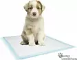 Pissa-alusta, 60 X 60 CM - Koiranpennun Hygienia - 41750 - 3