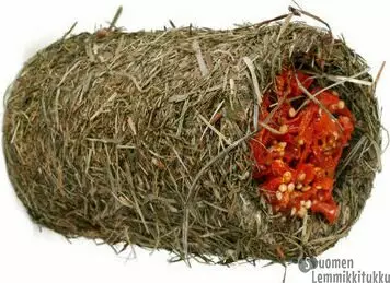 JR-Farm Porkkana Heinäherkkutunneli 125g - Kanin ja jyrsijän herkut - 37540 - 1