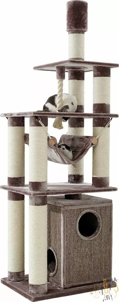 Raapima- ja kiipeilypuu Telde, Capuccino - Kissan raapimapuut - 41500 - 1