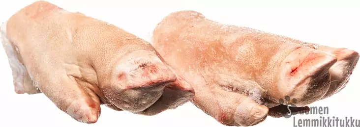 Sian sorkka 20kg, ennakkotilaus - Tessu raakaruoka - 41400 - 1