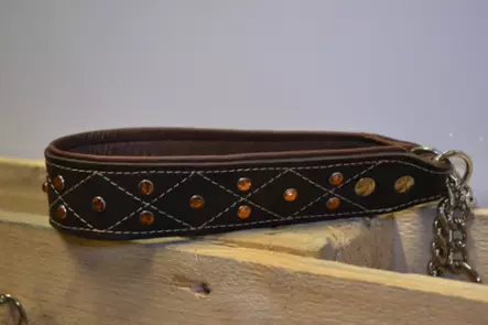 Nahkanasta puolikiristävä panta 65cm - Koiran nahkapannat - 418591 - 1