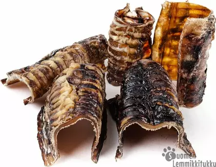 Naudan henkitorvi lyhyt - Luut koiralle - 42351 - 1