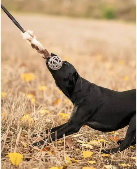 Vetolelu Play-n-Tug turkiksella ja pallolla ruskea - Koiran palkkauslelut - 42431 - 2