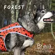 Brava Forest huomioliivi - Koiran huomiotuotteet ja pelastusliivit - 37991 - 8