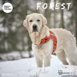 Brava Forest huomioliivi - Koiran huomiotuotteet ja pelastusliivit - 37991 - 9