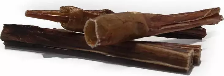 Bull-stick eli sonninsuti 20cm - Kuivatut ruhon osat koiralle - 426671 - 1