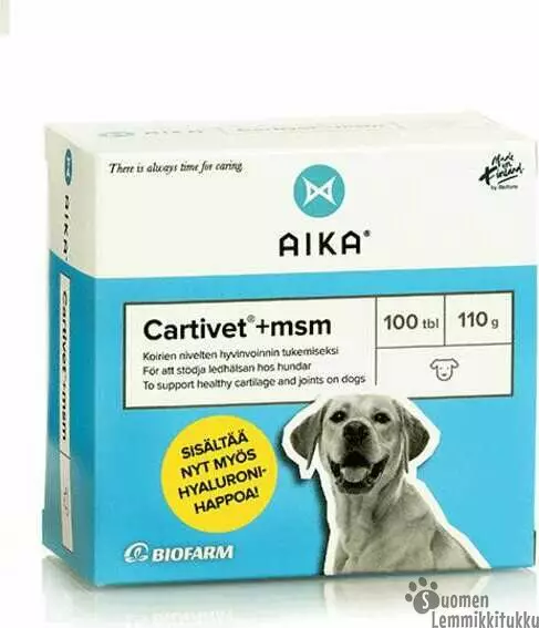 Aika Cartivet+MSM tabletti 100 tbl - Koiran lisäravinteet ja öljyt - 38611 - 1