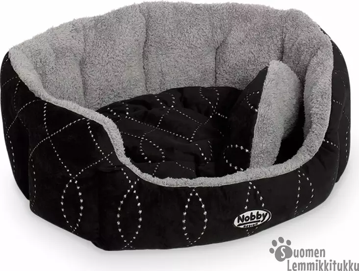 Ceno koiranpeti - Koiran pedit - 37951 - 1