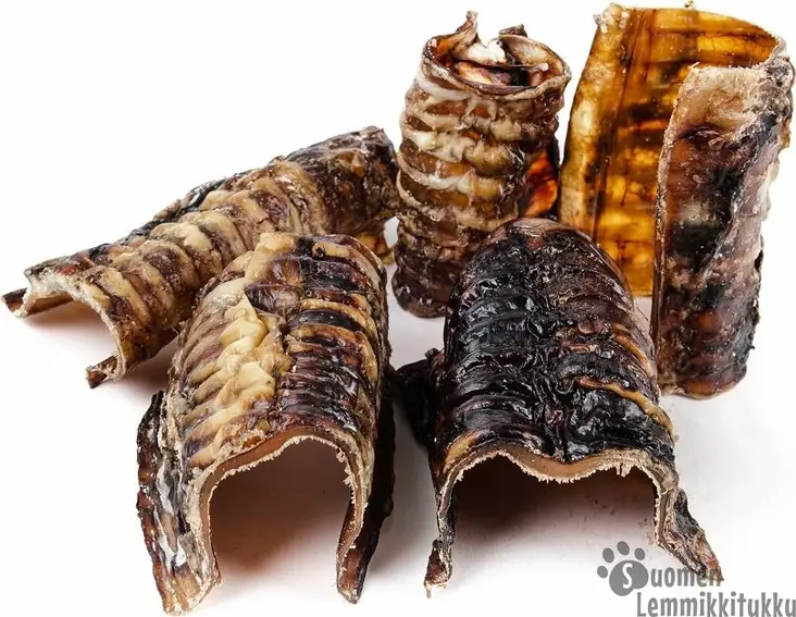 Naudan henkitorvi lyhyt - Luut koiralle - 42351 - 1