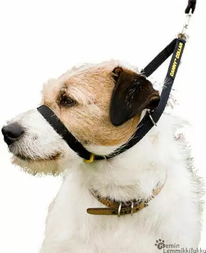 Vedonestopanta Musta - Koiran kakkapussit ja ulkoilutarvikkeet - 39291 - 1