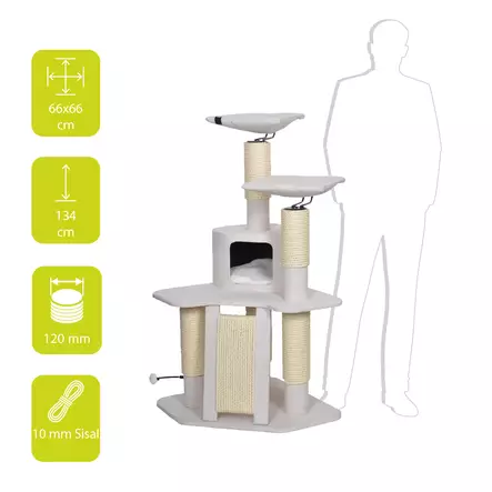 EBI Japani-sarjan raapimapuu Nagano - Kissan raapimapuut - 37252 - 2