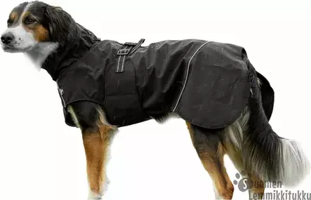 Ozami Outdoor Jacket Rain, sadetakki - Koiran talvitakit - 42682 - 1