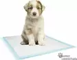 Pissa-alusta, 90 X 60 CM - Koiranpennun Hygienia - 41752 - 3