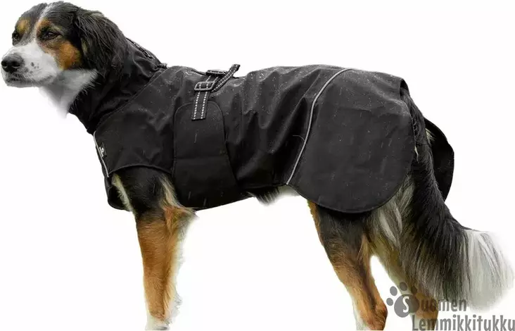 Ozami Outdoor Jacket Rain, sadetakki - Koiran talvitakit - 42682 - 1