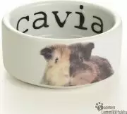 Beezteez Keraaminen kuppi marsuille 10cm - Kanin/jyrsijän ruokakupit, juomapullot - 37613 - 1