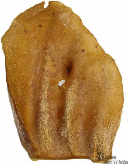 Kuivattu Vasikankorva, mini - Kuivatut ruhon osat koiralle - 39623 - 1