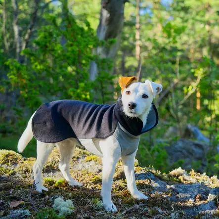 Recovery Winter Shirt koiran palautumispaita, harmaa - Koiran kevyttakit ja villapaidat - 40073 - 2