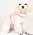 Pinkaholic Alaia takkivaljas - Koiran valjaat - 42183 - 3