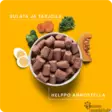 Nutriment By Rauh Kalkkuna-lammas-kasvispullat 1 kg - Koiran raakaruoka - 42253 - 2