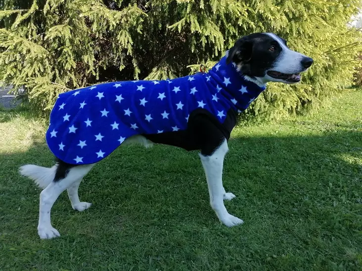Satu Singeri Fleece-paita sininen tähti - Koiran kevyttakit ja villapaidat - 43123 - 1