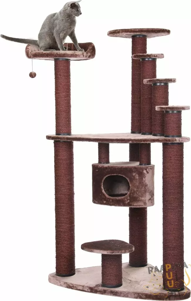 Raapimapuu Rocky Mountain - Kissan raapimapuut - 37223 - 1