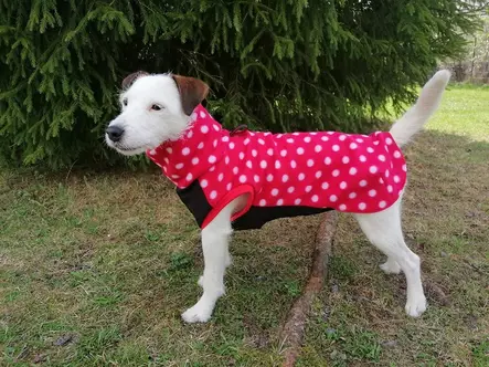 Satu Singeri Fleece-paita polka dot - Koiran kevyttakit ja villapaidat - 43124 - 2