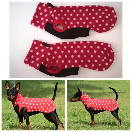 Satu Singeri Fleece-paita polka dot - Koiran kevyttakit ja villapaidat - 43124 - 1