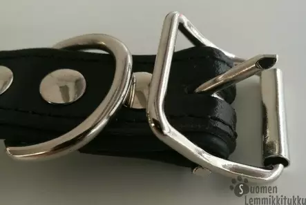 Nahkapanta koiralle strasseilla, yksirivinen - Koiran nahkapannat - 39404 - 2