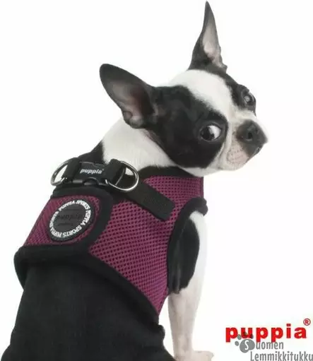 Soft Vest takkivaljaat B, vihreä - Koiran valjaat - 40924 - 2