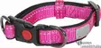 Pets Solid panta pinkki - Koiran pistolukkopannat - 41054 - 1