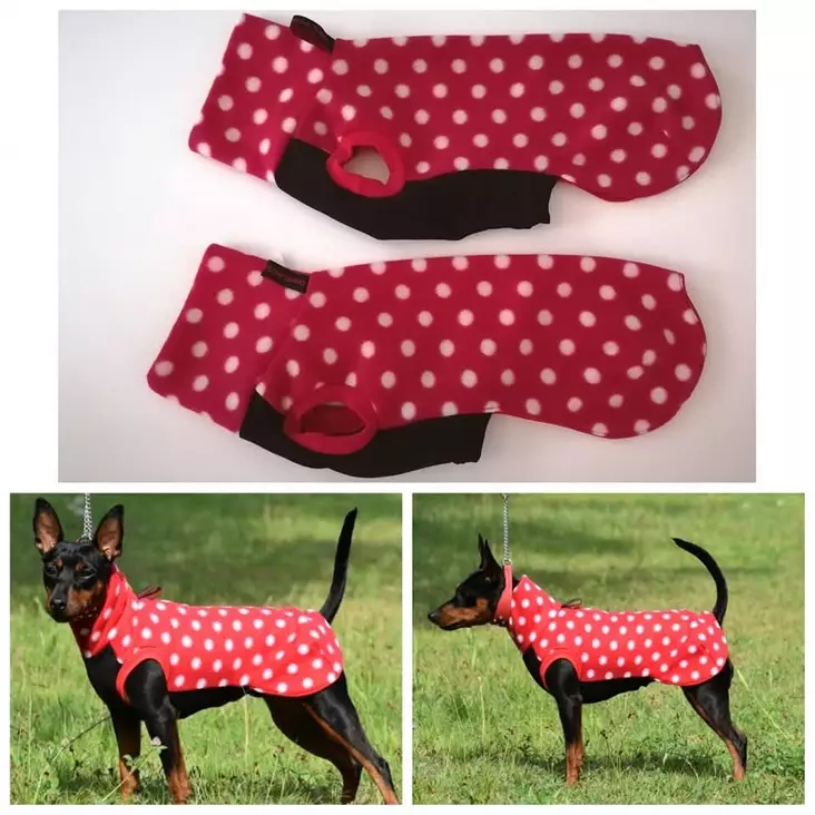 Satu Singeri Fleece-paita polka dot - Koiran kevyttakit ja villapaidat - 43124 - 1