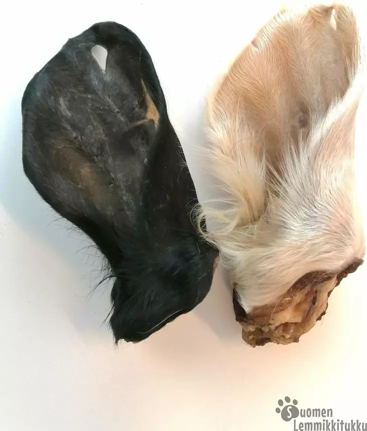 Kuivattu Häränkorva karvainen - Kuivatut ruhon osat koiralle - 42224 - 1