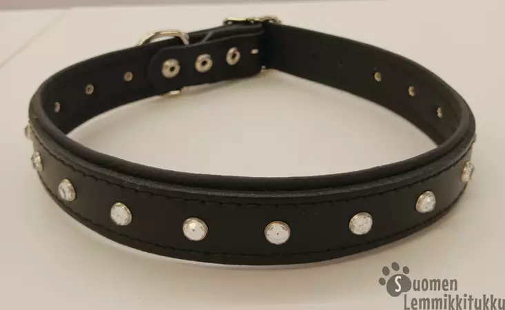 Nahkapanta koiralle strasseilla, yksirivinen - Koiran nahkapannat - 39404 - 1