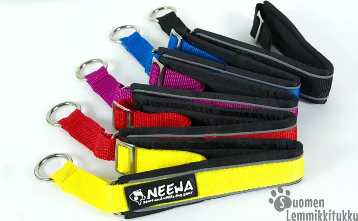 Neewa puolikiristävä panta Fuksia - Koiran puolikiristävät pannat - 41654 - 1