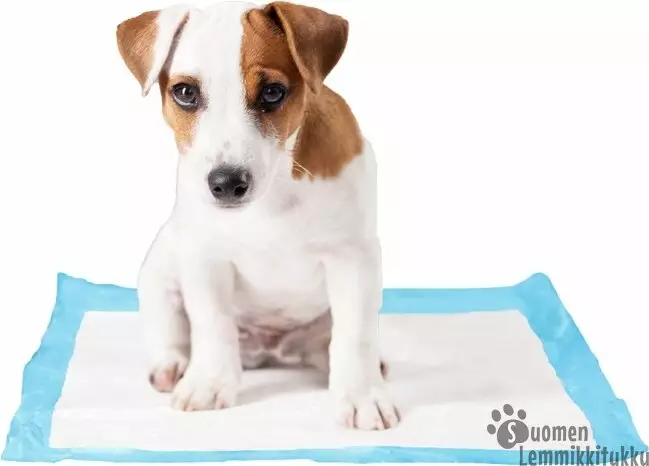 Pissa-alusta, 30 x 45 cm - Koiranpennun Hygienia - 39204 - 1