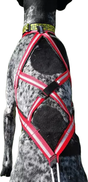 X-Back -vetovaljas - Koiran vetovaljaat - 38504 - 1