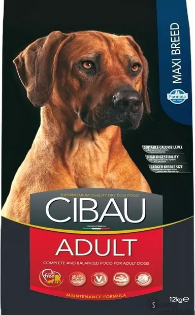 Cibau Adult Maxi Breed 12 kg - Kuivaruoka normaaliaktiiviselle koiralle - 42595 - 1