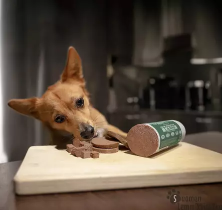 Dog Sausage Horse, Hevonen- treenimakkara 200g - Treenimakkarat koiralle - 42695 - 2