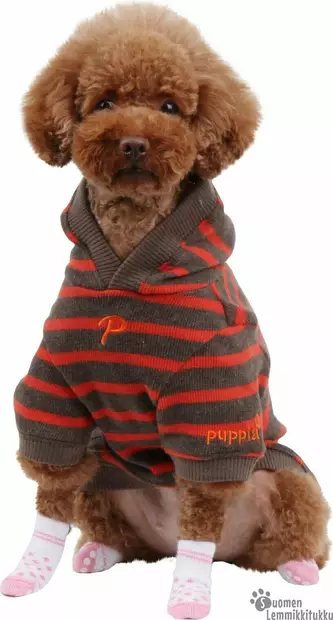 Koiran sukat liukuesteellä, valkoinen-pinkki - Koiran tossut - 42175 - 2