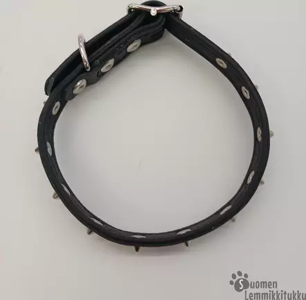 Nahkanasta nahkainen niittipanta - Koiran nahkapannat - 41145 - 2