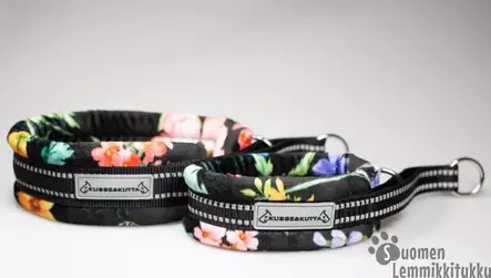 Puolikiristävä panta Niittykukat - Koiran puolikiristävät pannat - 42305 - 1