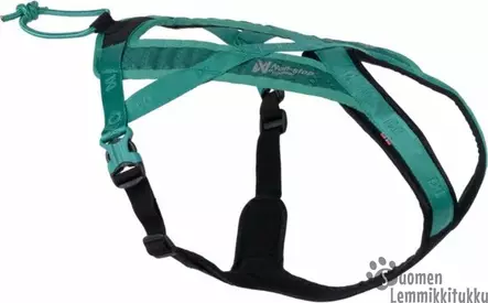 Non-stop Rush vetovaljaat, Teal - Koiran vetovaljaat - 42625 - 1