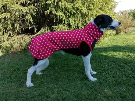 Satu Singeri Fleece-paita polka dot - Koiran kevyttakit ja villapaidat - 43125 - 2