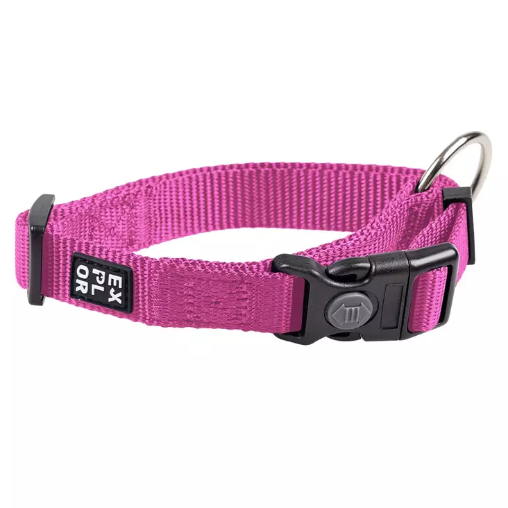 Explor Classic collar Fuksia - Koiran pistolukkopannat - 43185 - 1